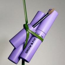 Load image into Gallery viewer, Madara GROW & FIX Tinted Brow Gel
